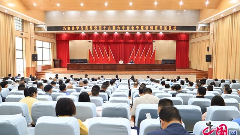 网络课程加盟代理：揭秘行业趋势与选择要点